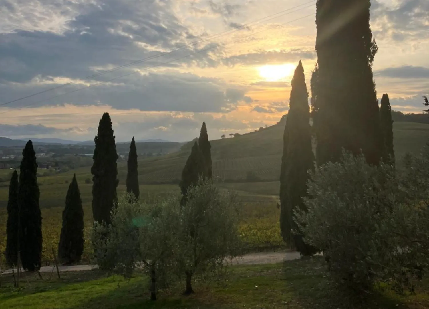 Feriegård Agriturismo Casale Dello Sparviero Castellina in Chianti